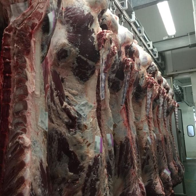 Mataderos de Sacrificio.