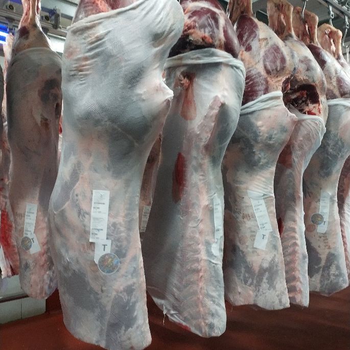 Mataderos de Sacrificio.