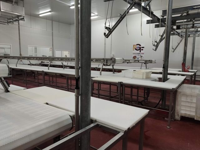SALAS DE DESPIECE Y ELABORADOS CÁRNICOS