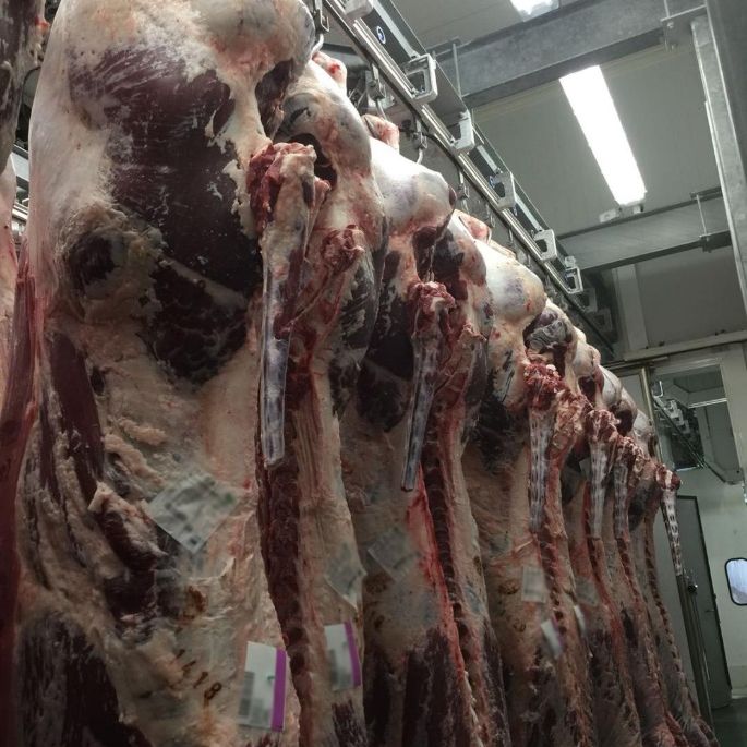 Mataderos de Sacrificio.