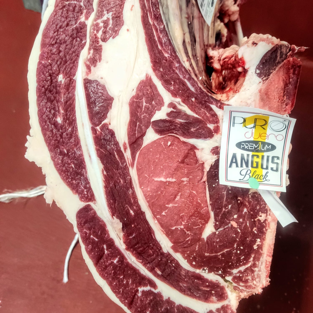 MATADEROS GANADO BOVINO. 