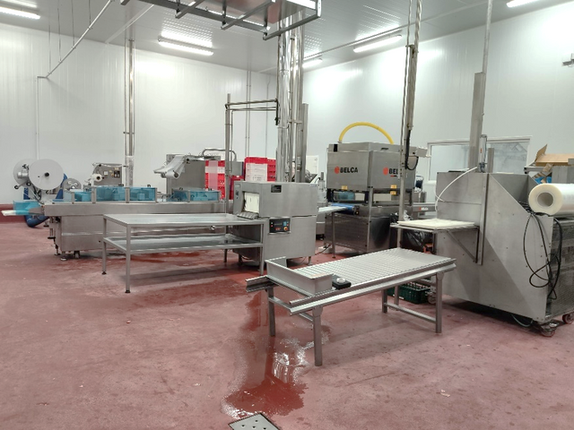 SALAS DE DESPIECE Y ELABORADOS CÁRNICOS